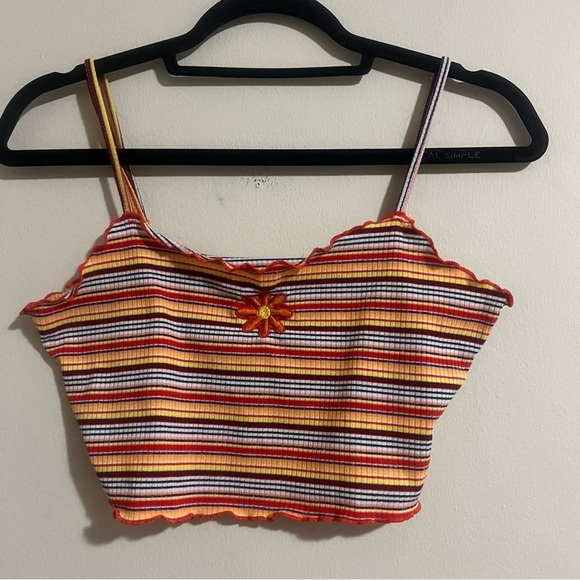 Striped Multicolor Crop Top - Picture 1 of 3